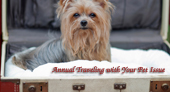 Traveling with Pets - Keeping them Safe & Secure